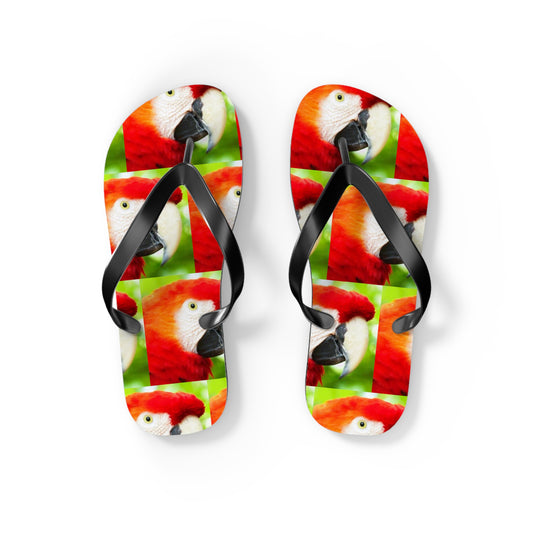 Scarlet Macaw Parrot Flip Flops
