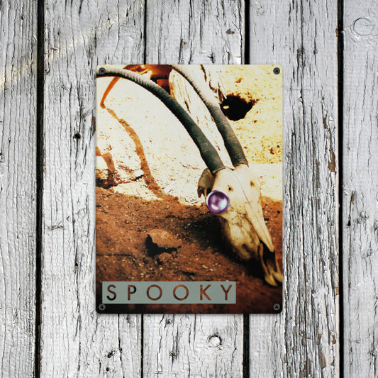 Letrero metálico de hojalata con calavera espeluznante de 30 x 40 cm (fabricado en EE. UU.)