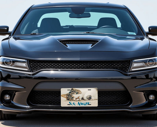 Sleepy Cat says Go Away Aluminum License Plate (Made in USA)