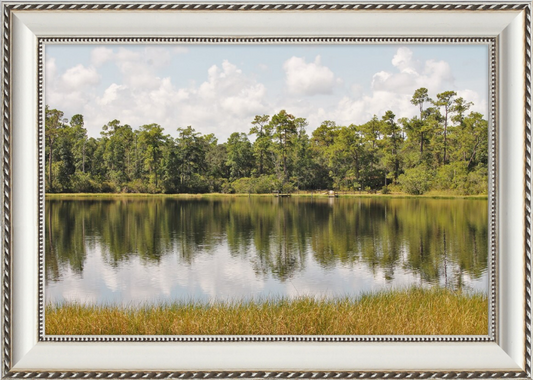 Picturesque Lake Near Oviedo Florida Framed Print - Shell Design Boutique