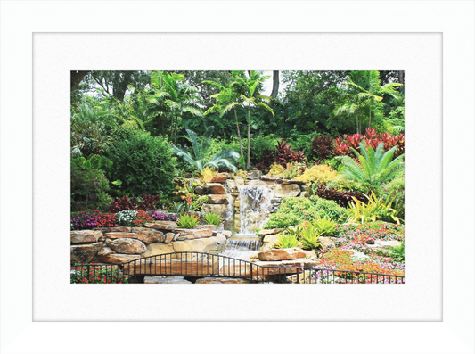 Tropical Waterfall Framed and Matted Print - Shell Design Boutique