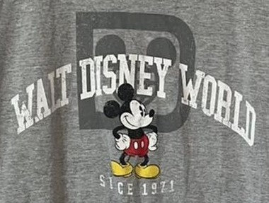 Gray sweatshirt with 'Walt Disney World' and Mickey Mouse design.