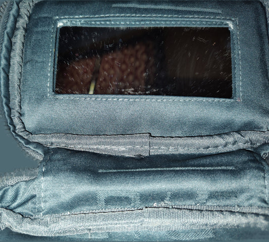 Rodan + Fields Small Silver Makeup Bag