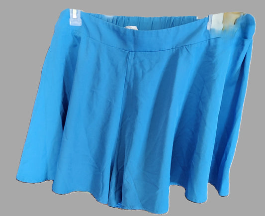 Shein Curve Blue Loose Shorts - size 4XL