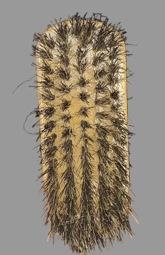Horse Hair Shoe Brush