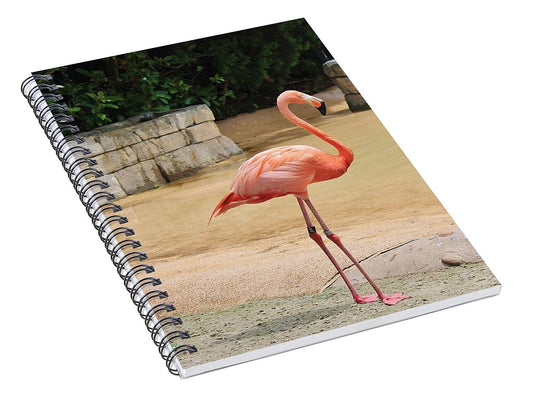 Flamingo at Sea World Park in Florida Spiral Notebook