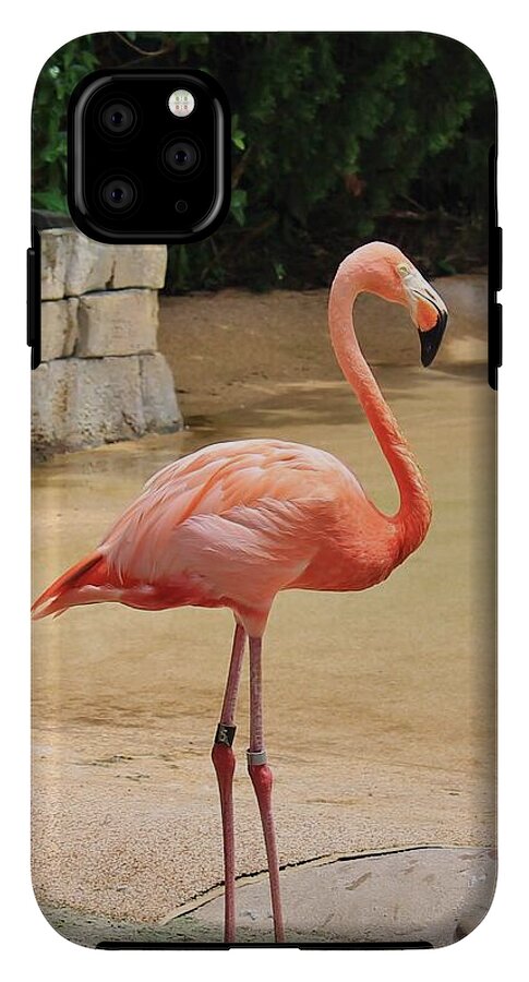 Lone Flamingo at Sea World Park in Florida - Phone Case