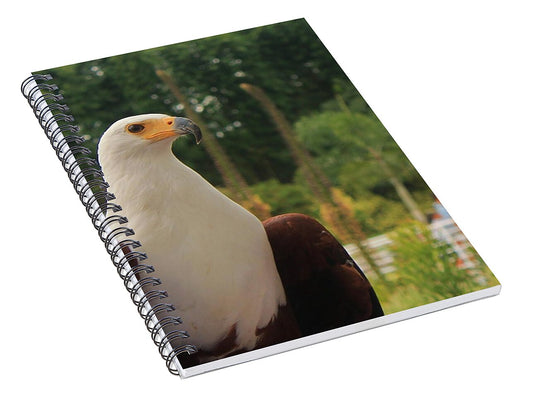 Majestic American Bald Eagle Eagle - Spiral Notebook