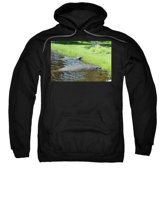 Manatees Resting by Shore of Indian River Lagoon, Florida - Sweatshirt