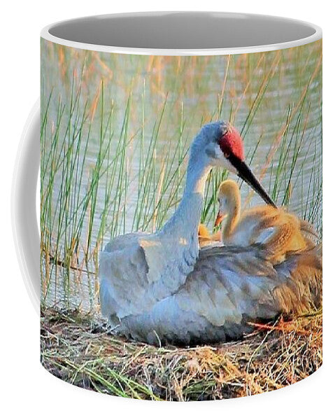 Sandhill Crane with Chicks Malabar Florida Coffee Mug