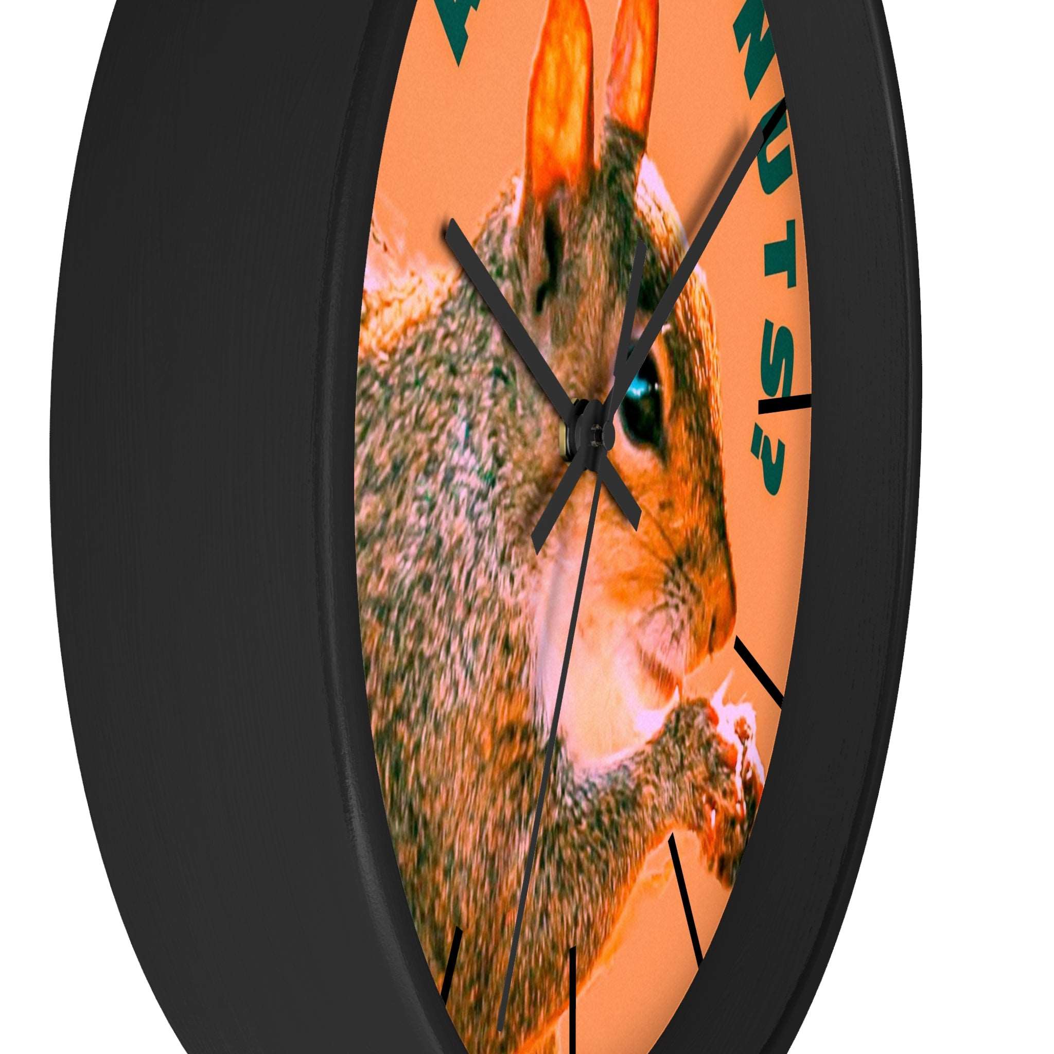 Are You Nuts? Squirrel Wall Clock