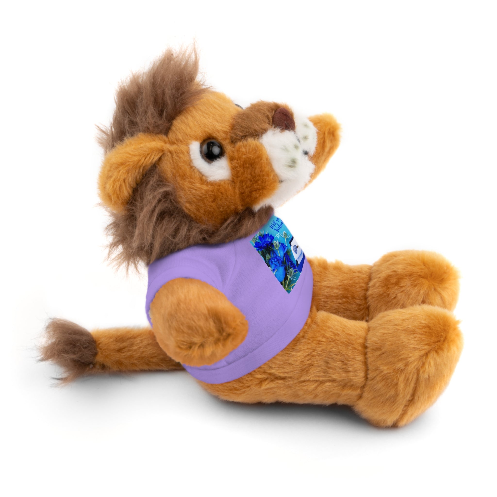 Will You Be My Valentine? Stuffed Animal wearing T-shirt