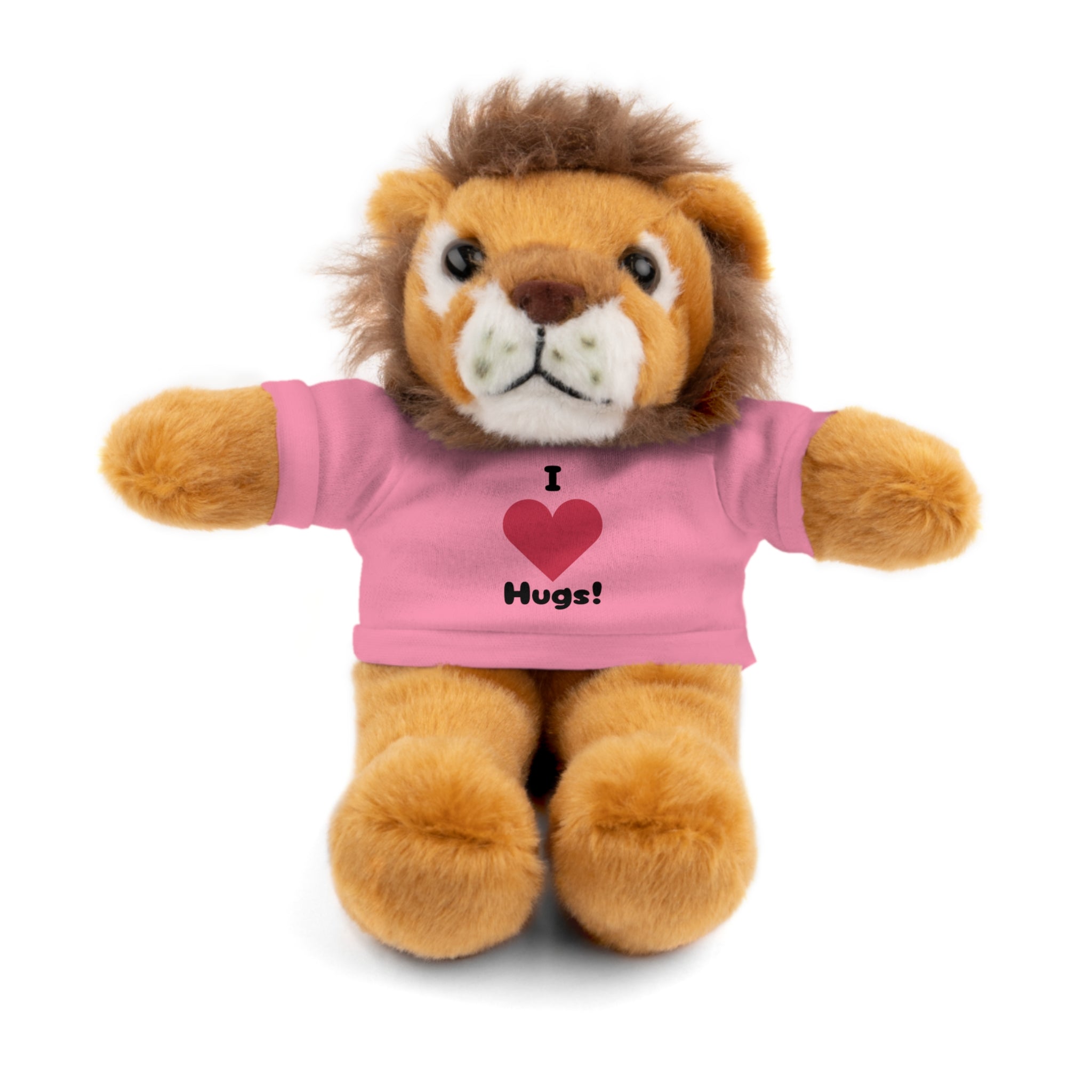 Stuffed Animal with T-shirt saying I heart Hugs