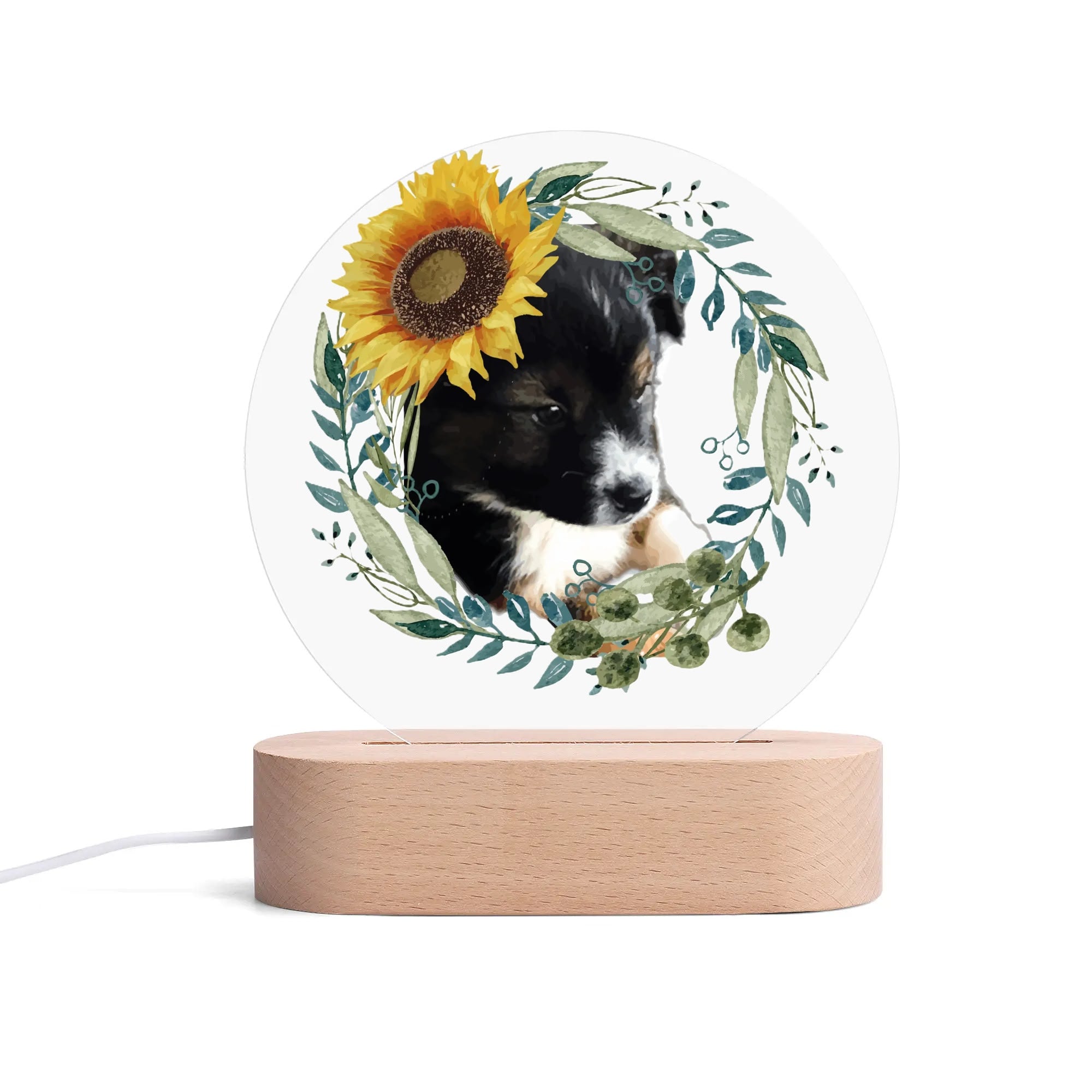 Cute Black Puppy Acrylic Round Lamp Night Light Home Decor