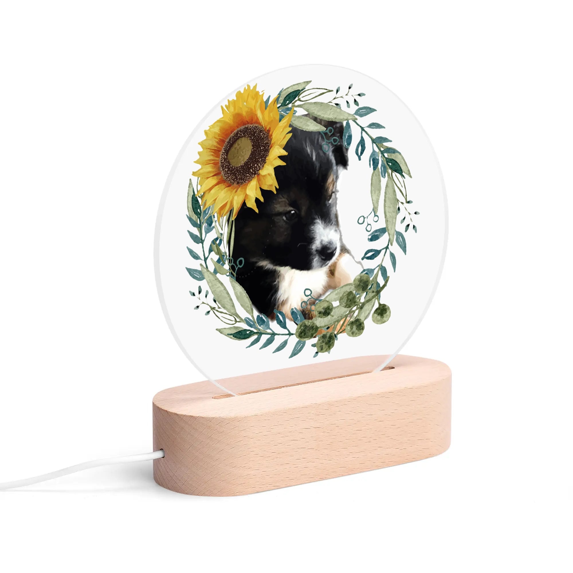 Cute Black Puppy Acrylic Round Lamp Night Light Home Decor