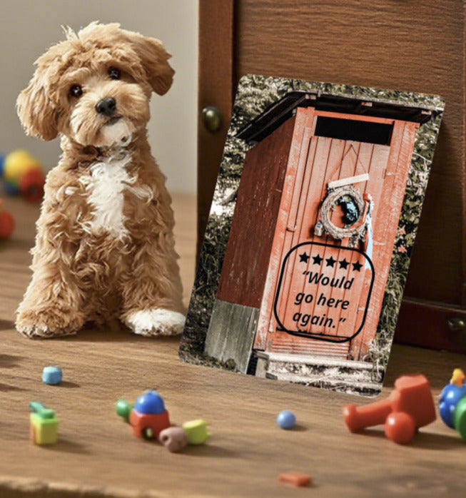5 Star Rated Outhouse Custom Playing Cards