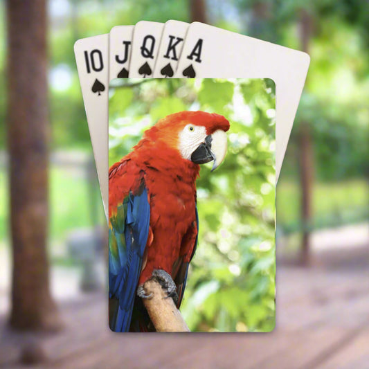 Red Macaw Bird Custom Playing Cards