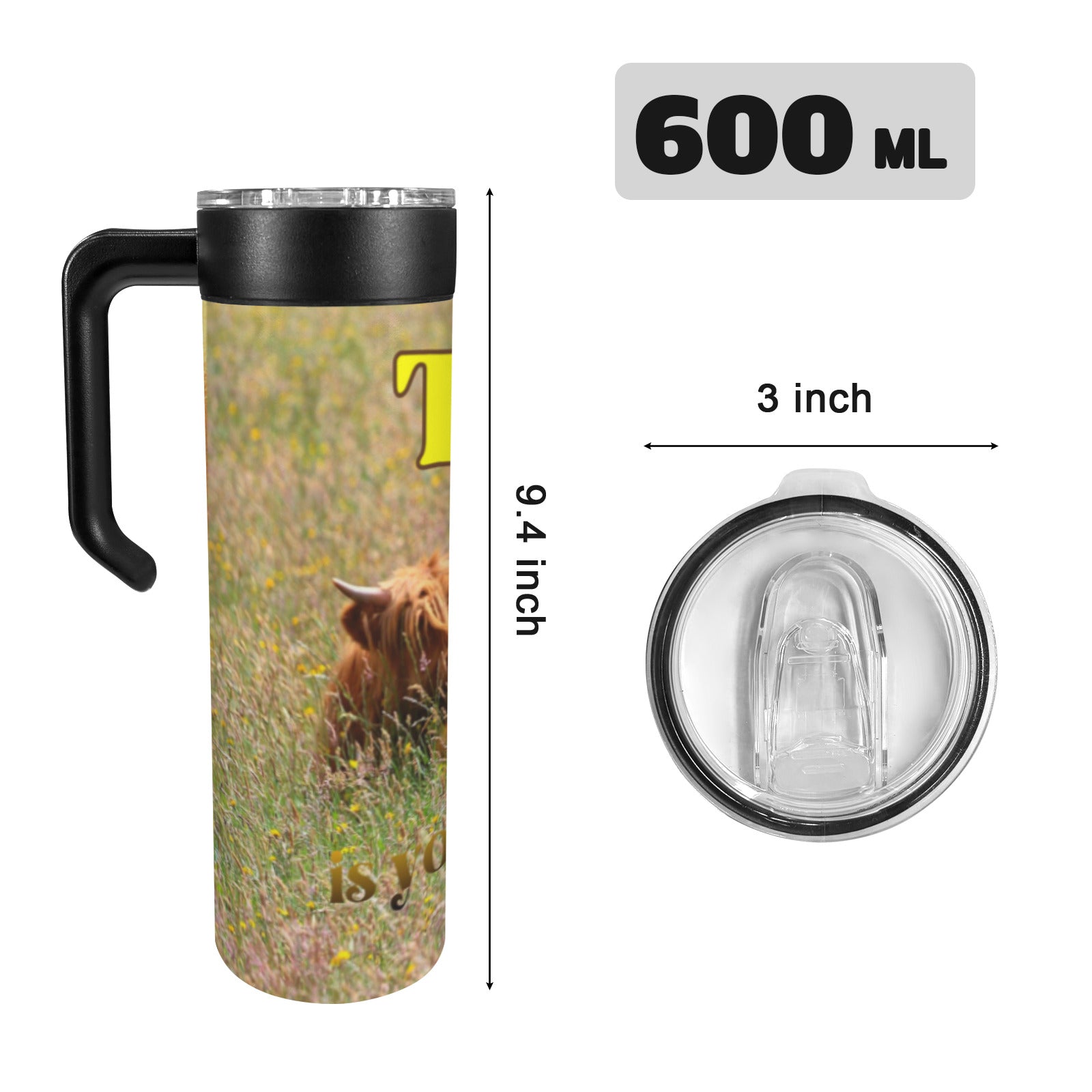 Today is Yours to Conquer Highland Cows 20oz Insulated Water Bottle with Screw On Handle