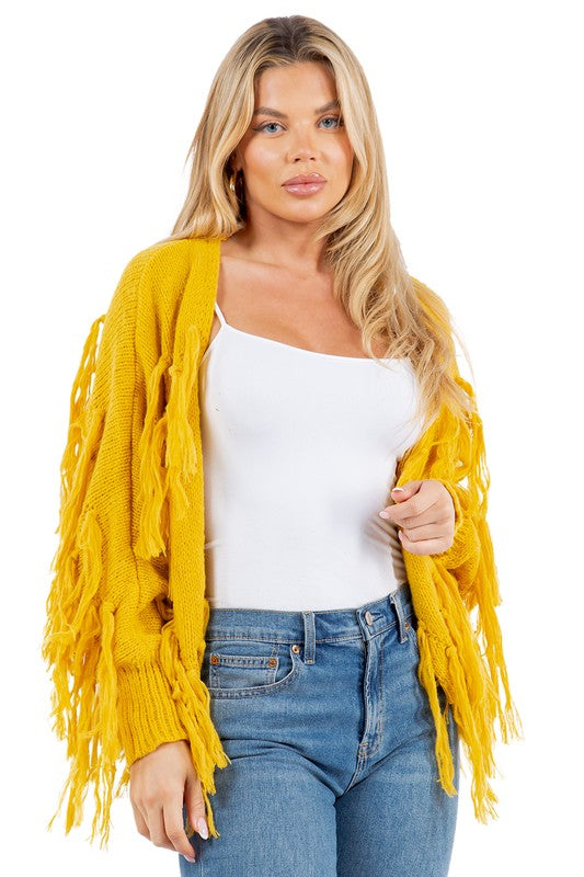 Women's Fashion Tassel Design Sweater Cardigan