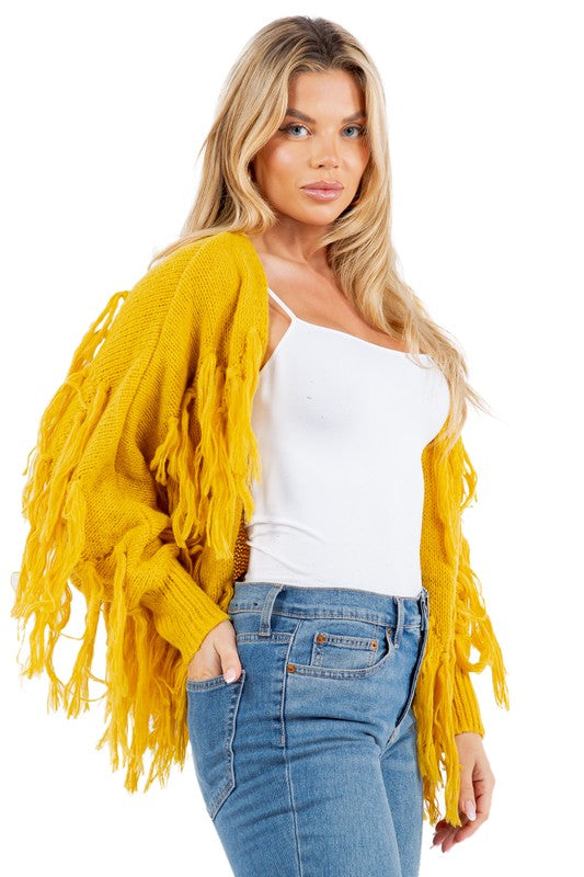 Women's Fashion Tassel Design Sweater Cardigan