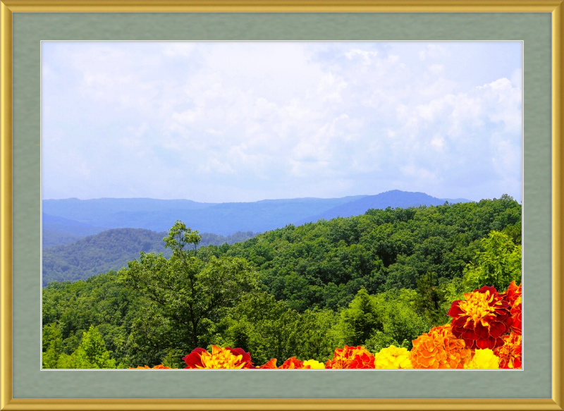 Orange Flowers in the Mountains Framed Print - Shell Design Boutique