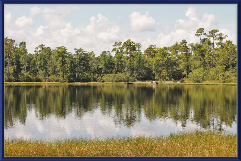 Picturesque Lake Near Oviedo Florida Framed Print - Shell Design Boutique