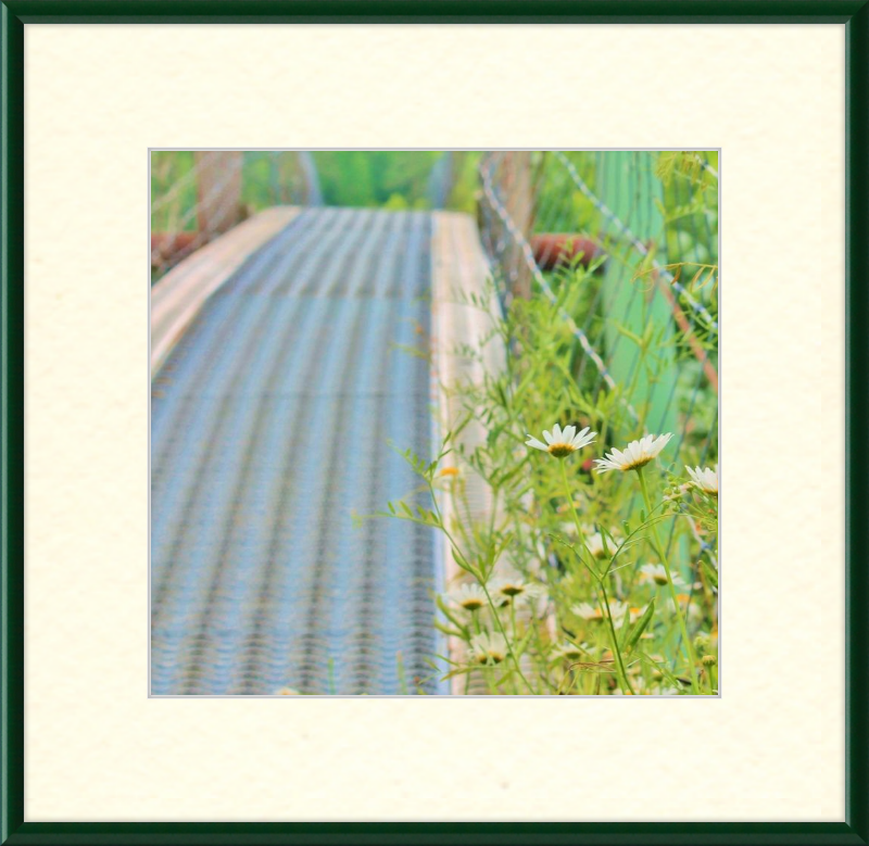 Appalachian Swinging Bridge with Wildflowers Framed Print