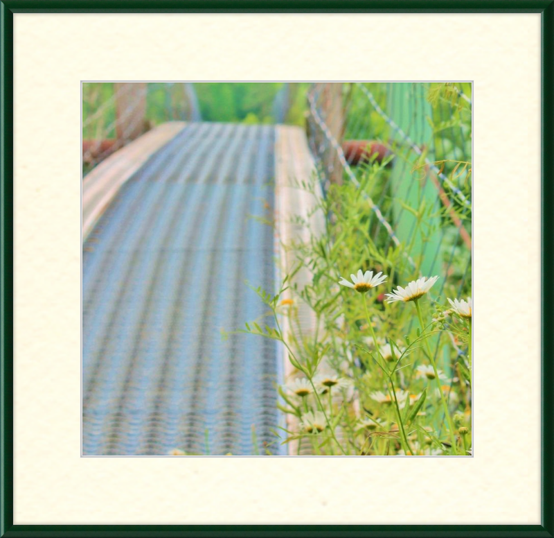 Appalachian Swinging Bridge with Wildflowers Framed Print