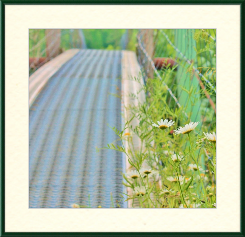 Appalachian Swinging Bridge with Wildflowers Framed Print