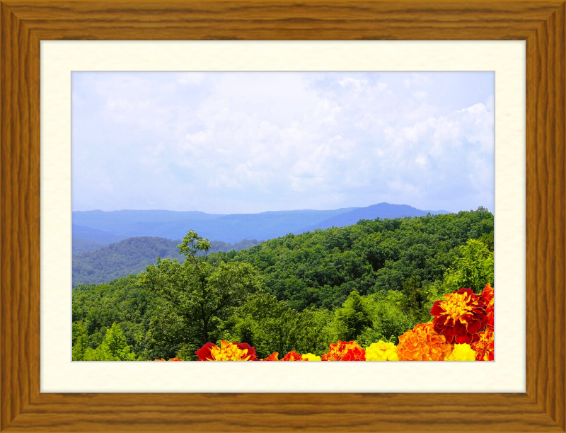 Orange Flowers in the Mountains Framed Print - Shell Design Boutique