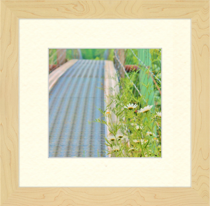 Appalachian Swinging Bridge with Wildflowers Framed Print