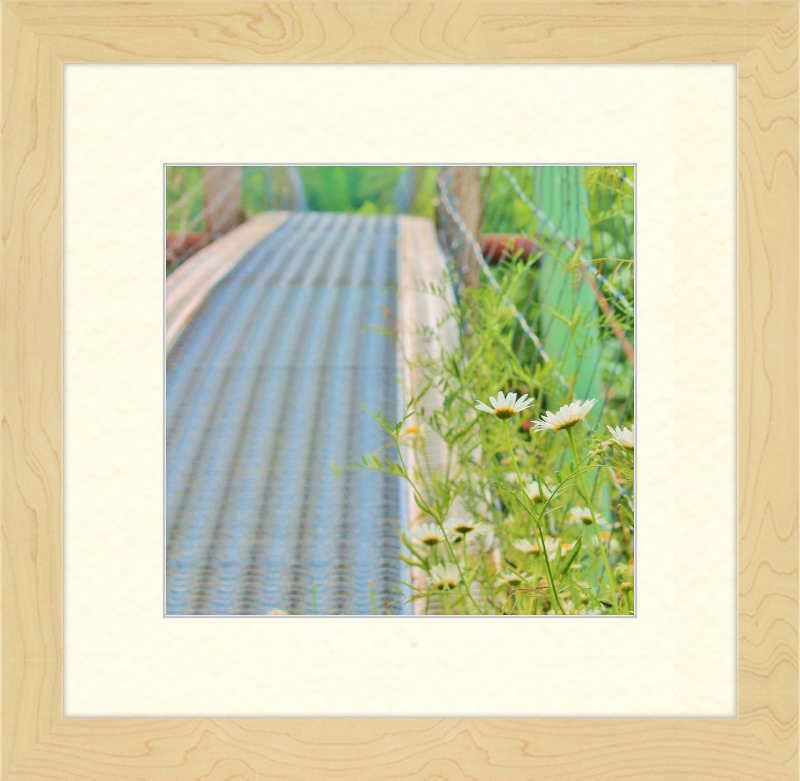 Appalachian Swinging Bridge with Wildflowers Framed Print