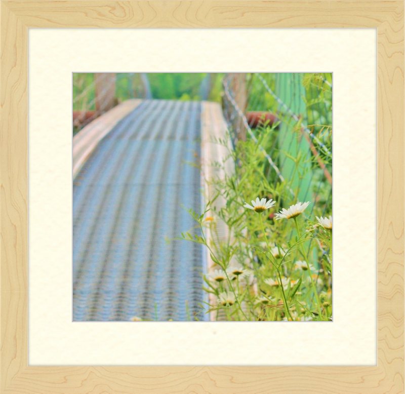 Appalachian Swinging Bridge with Wildflowers Framed Print