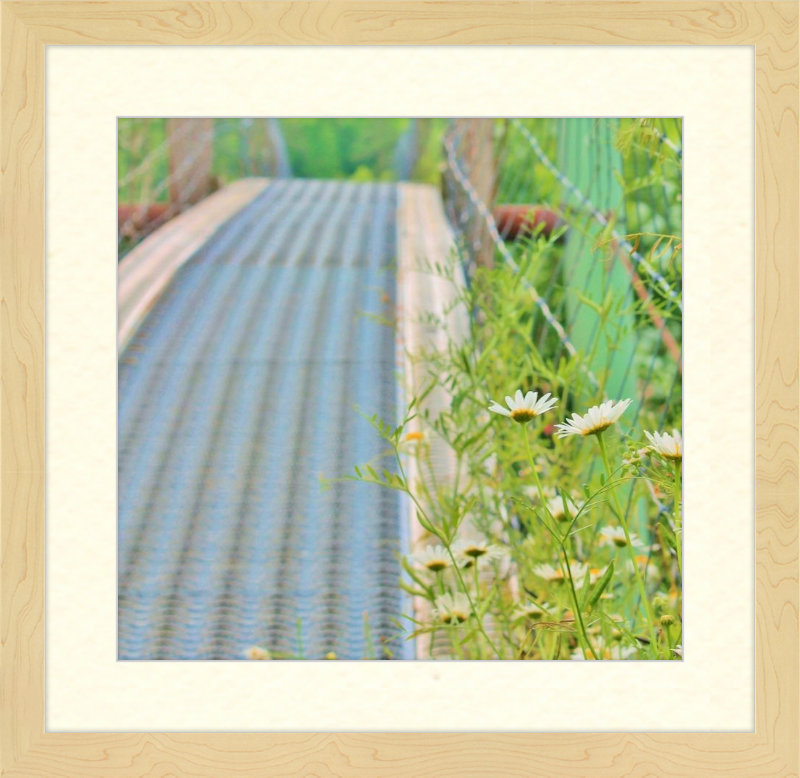 Appalachian Swinging Bridge with Wildflowers Framed Print