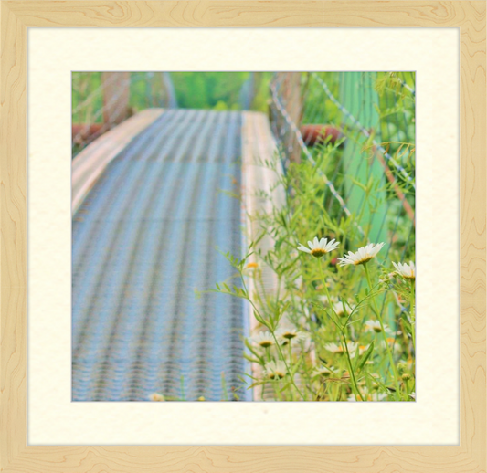 Appalachian Swinging Bridge with Wildflowers Framed Print