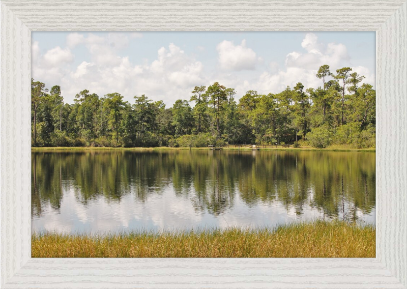 Picturesque Lake Near Oviedo Florida Framed Print - Shell Design Boutique