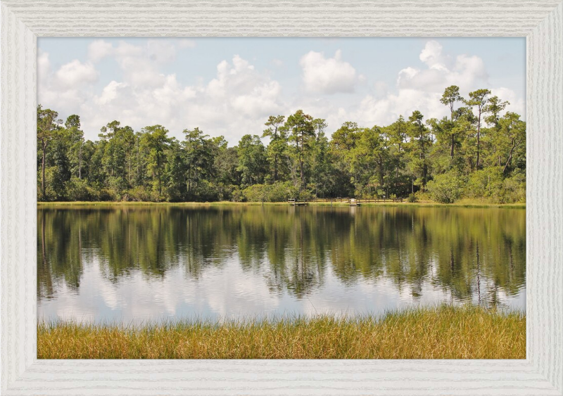 Picturesque Lake Near Oviedo Florida Framed Print - Shell Design Boutique
