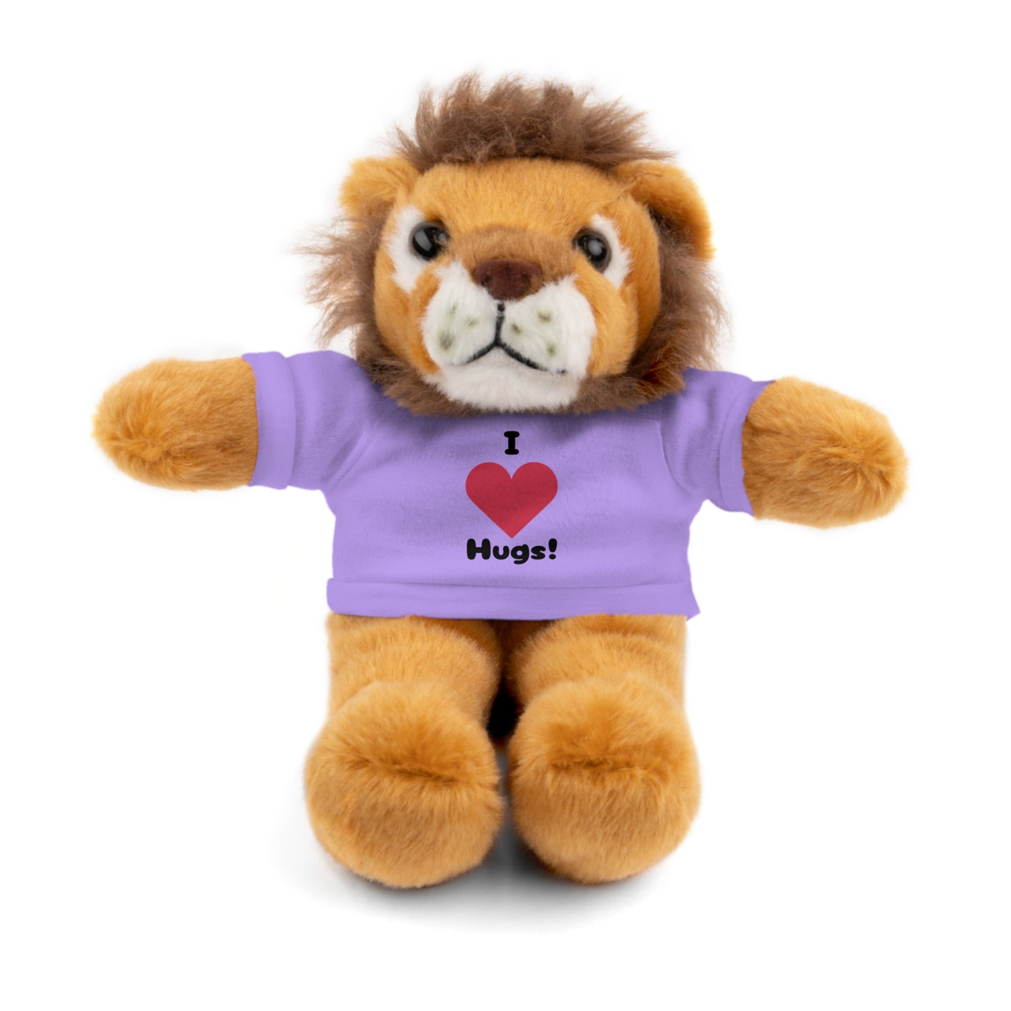 Stuffed Animal with T-shirt saying I heart Hugs