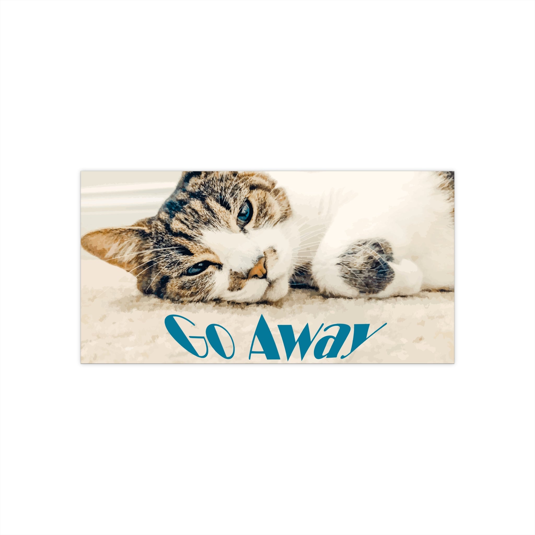 Sleepy Cat Says Go Away Bumper Sticker