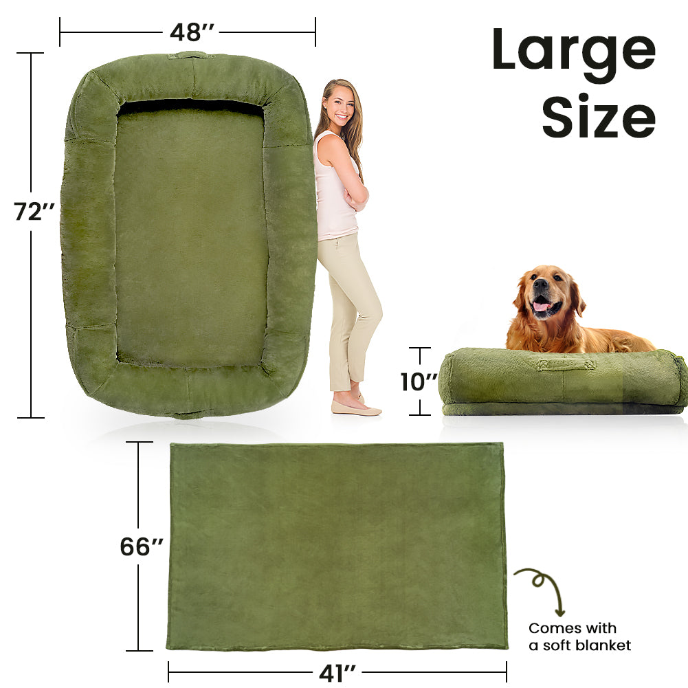 The Human Dog Bed