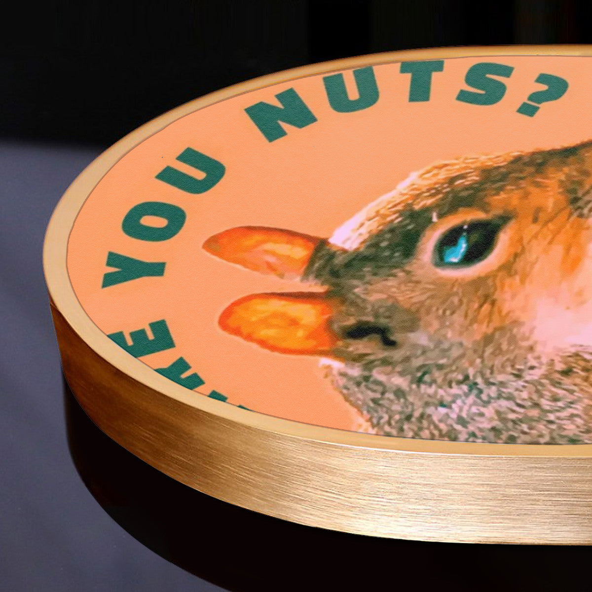 Are You Nuts? Funny Squirrel Arched Canvas Print Wall Art (Made in USA)