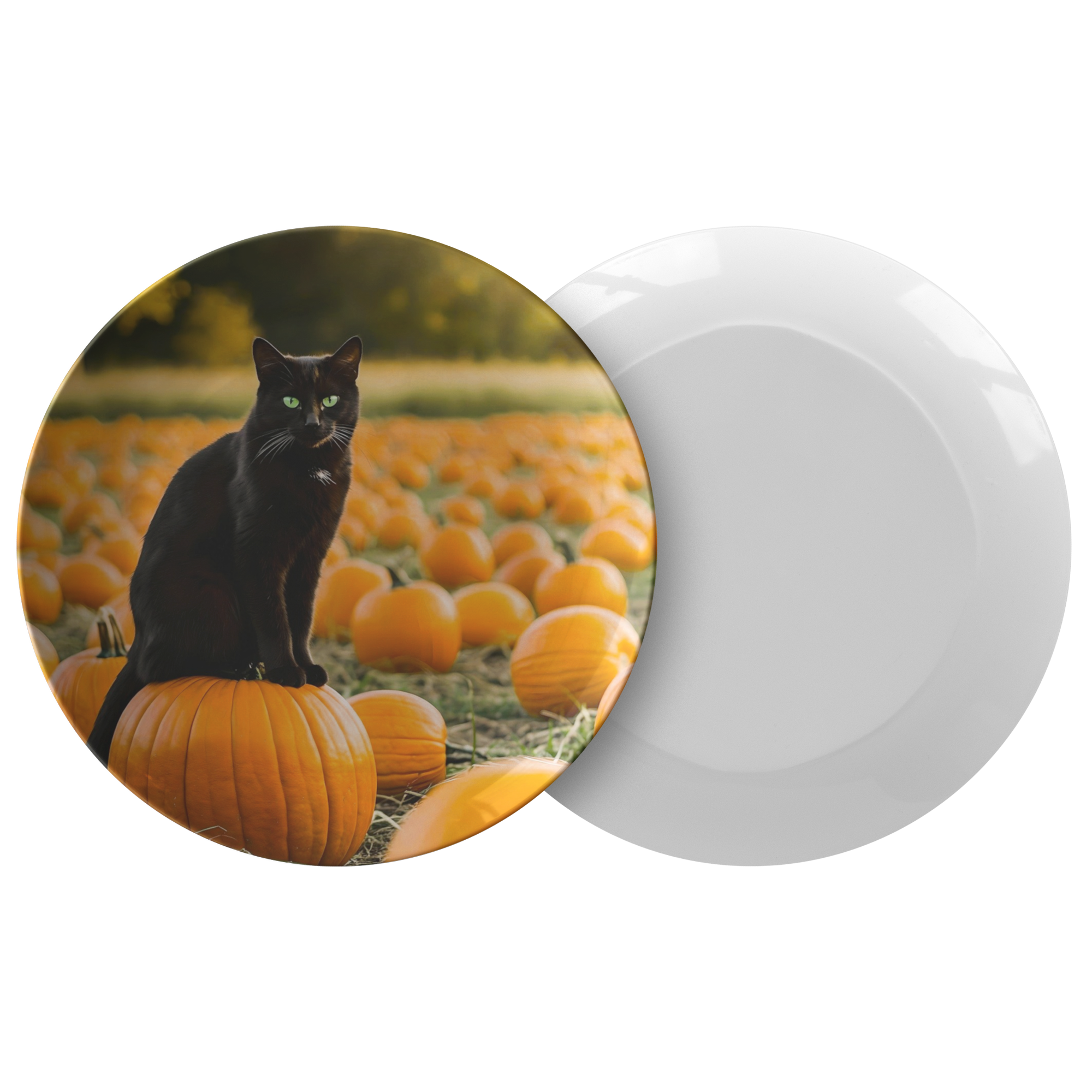 Black_Cat_in_Pumpkin_Patch_10_Serving_P_Combo_Mockup.png