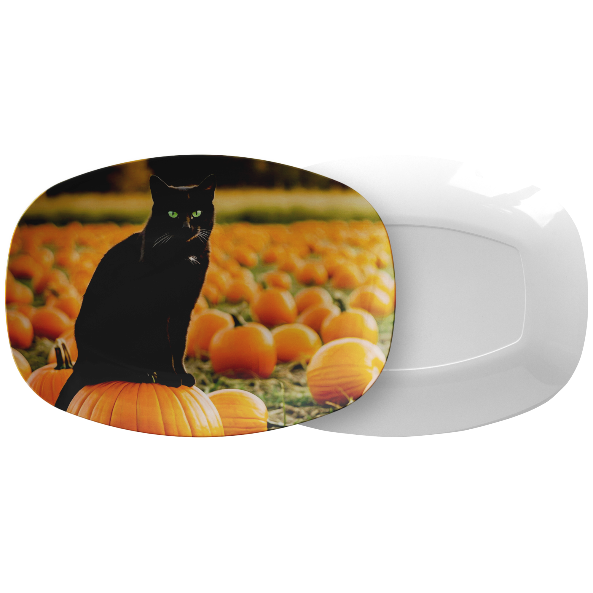 Black_Cat_in_Pumpkin_Patch_10_x_14_Ser_Combo_Mockup.png