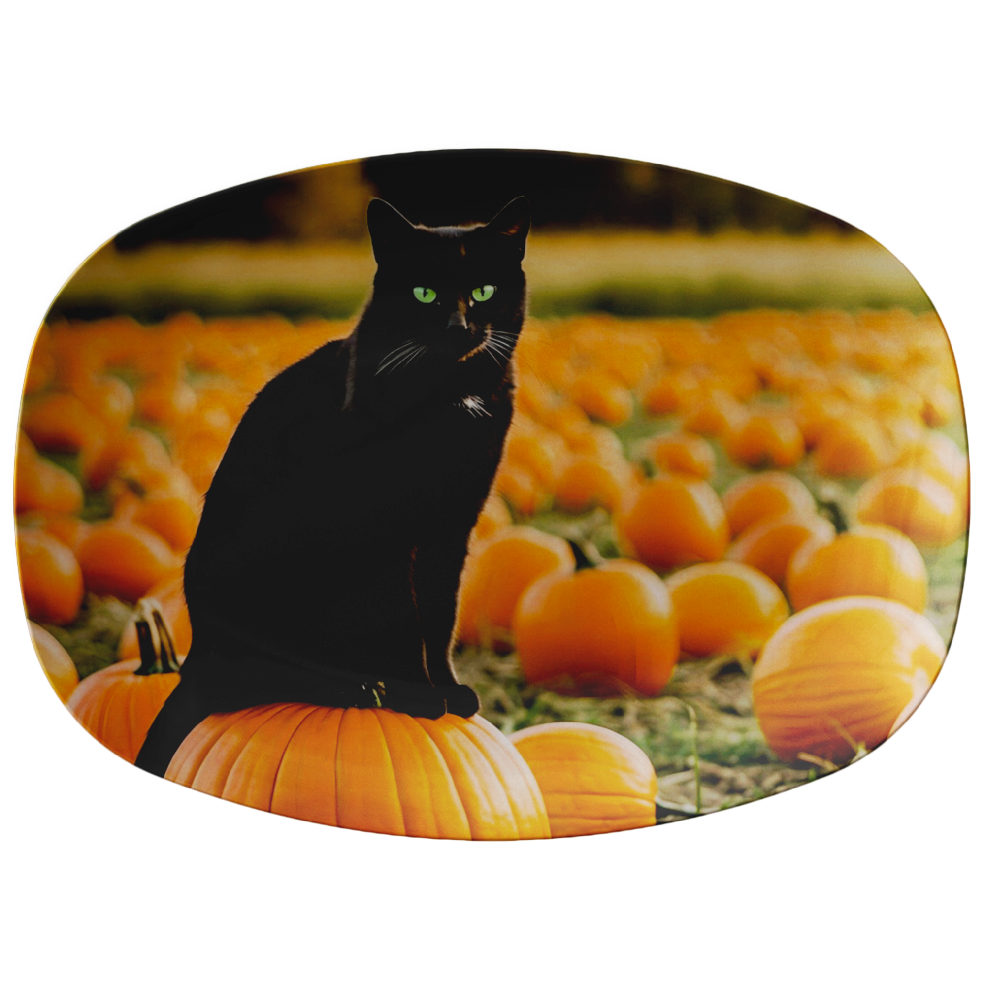 Black_Cat_in_Pumpkin_Patch_10_x_14_Ser_Flat_Mockup.png