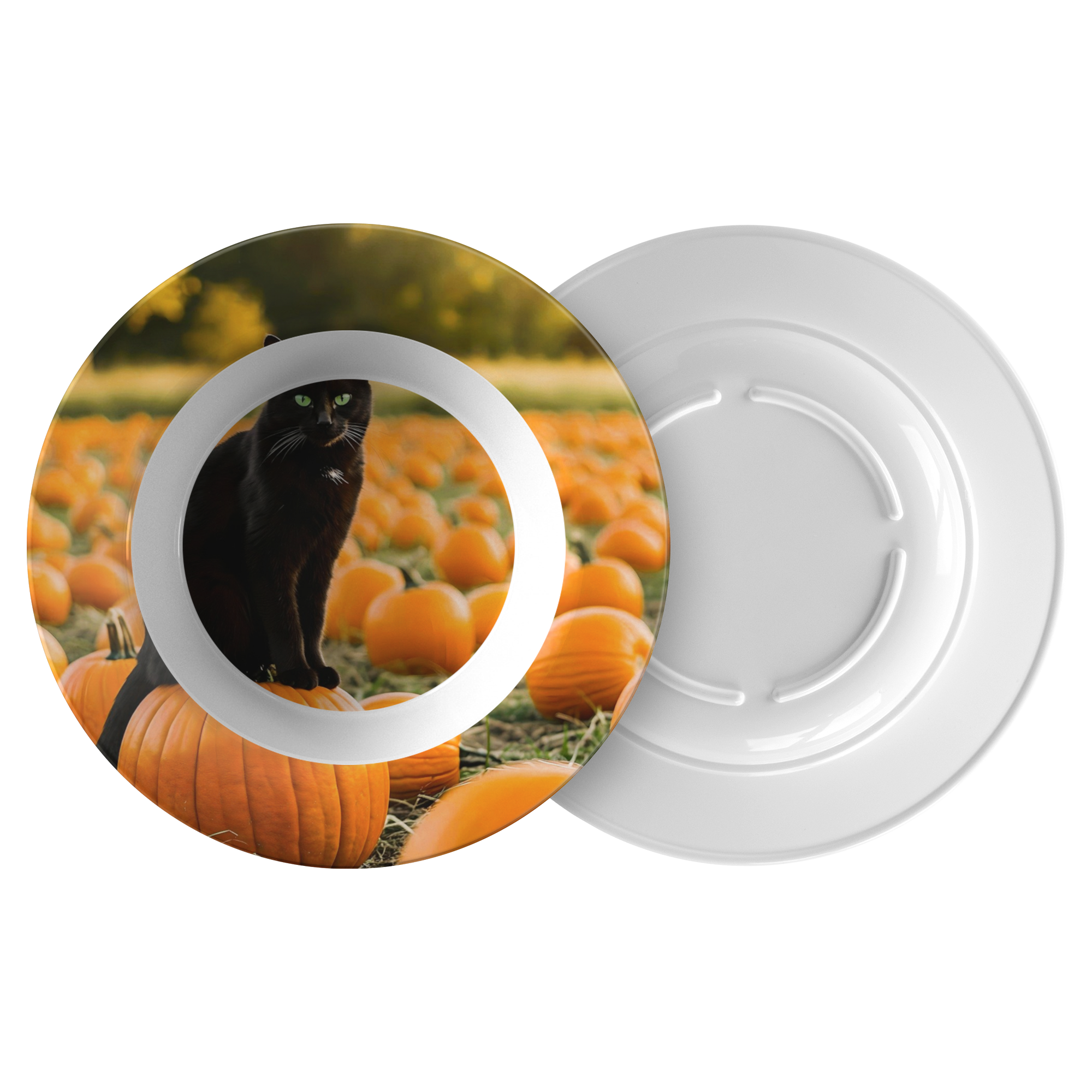 Black_Cat_in_Pumpkin_Patch_Polymer_Servi_Flat_Combo_Mockup.png