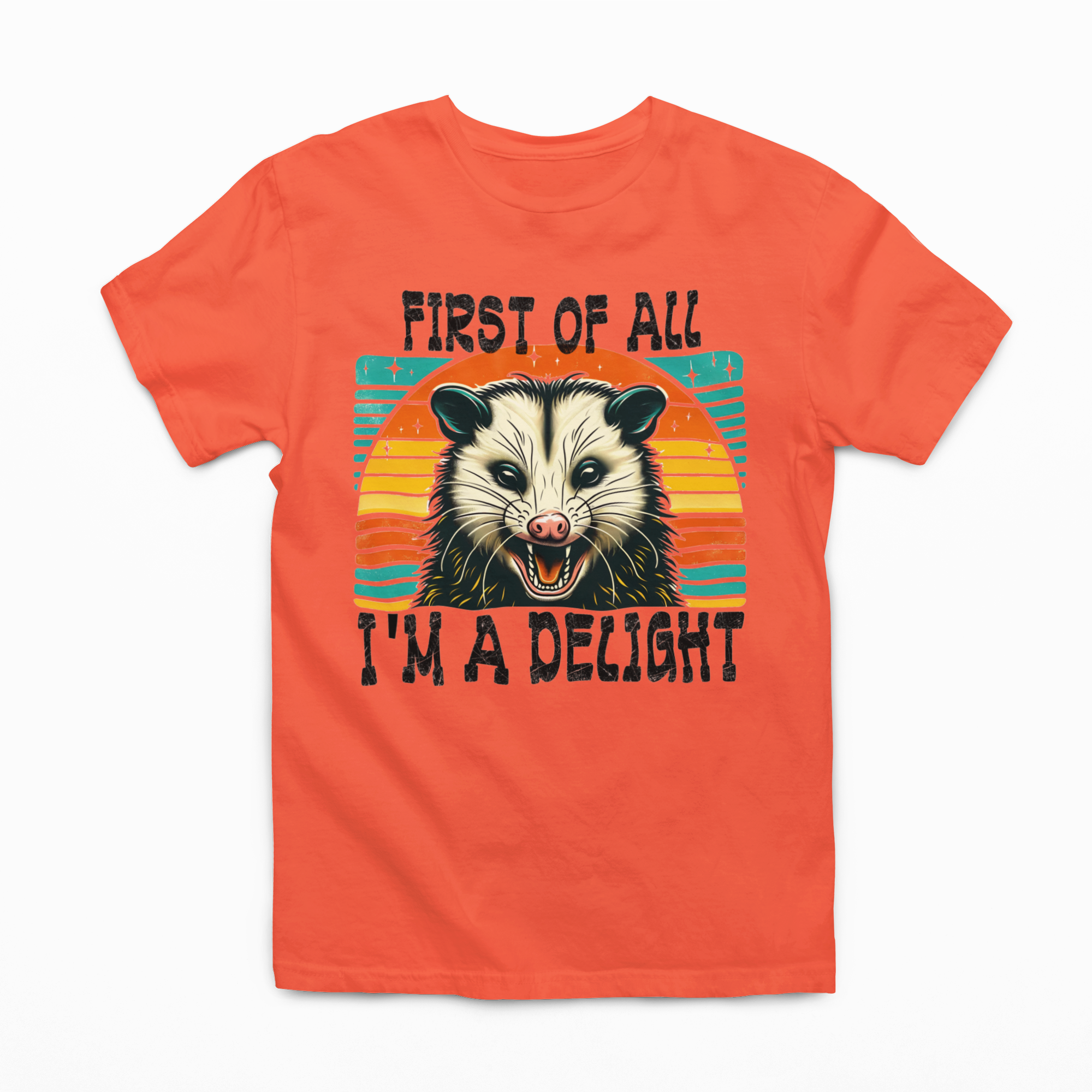 Women's I'm a Delight Scary Possum Graphic T-shirt