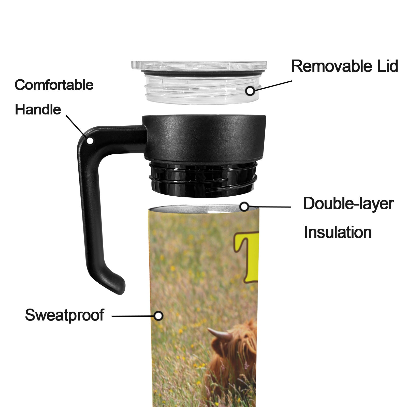 Today is Yours to Conquer Highland Cows 20oz Insulated Water Bottle with Screw On Handle