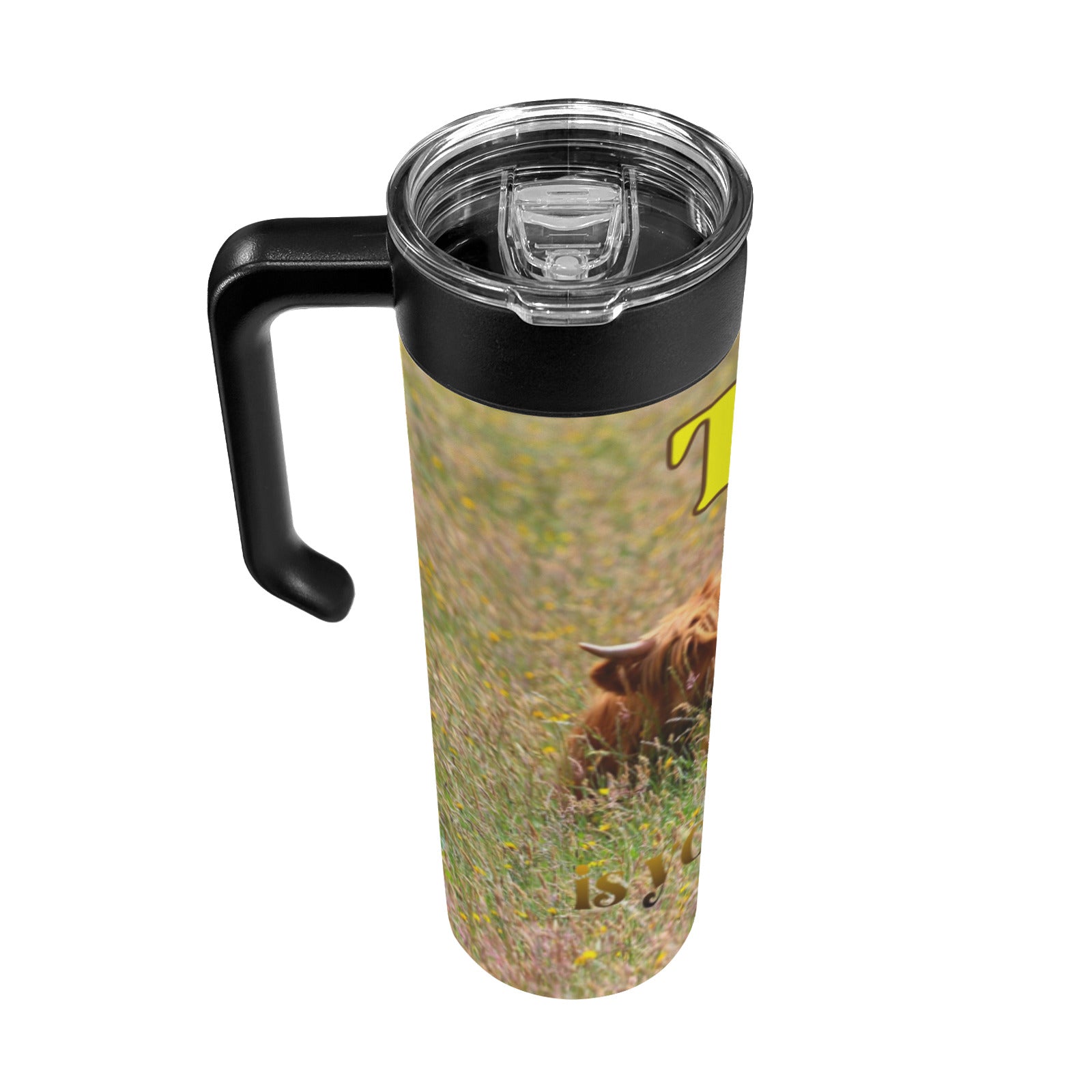 Today is Yours to Conquer Highland Cows 20oz Insulated Water Bottle with Screw On Handle