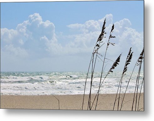 Cloudy Seaside with Tall Grasses - Metal Print