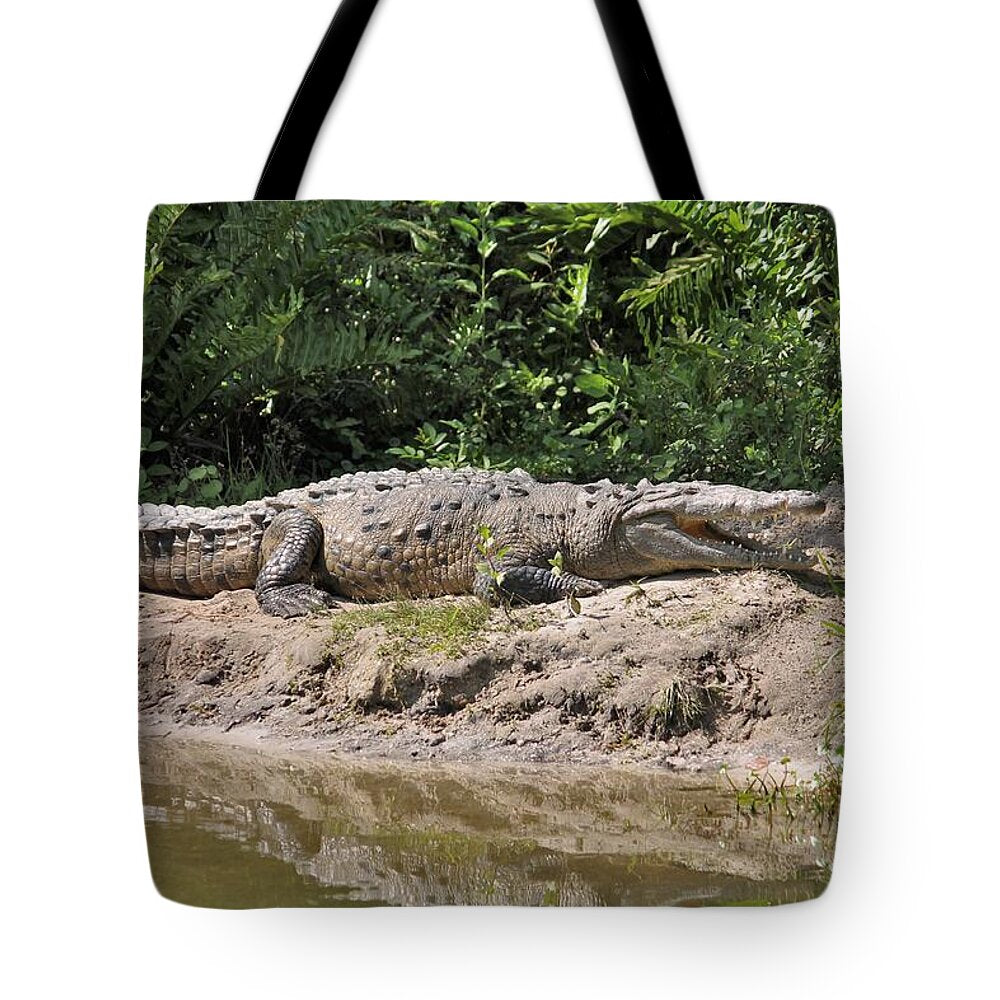 Crocodile by the Riverside - Tote Bag